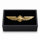 Авиационный значок PILOT WINGS gold 5 см