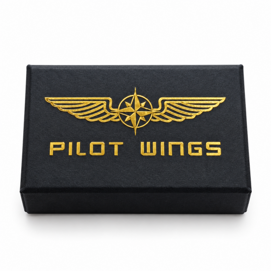 Авиационный значок PILOT WINGS gold 5 см