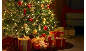 ТОП-10 идей для новогоднего подарка пилоту ТОП-10