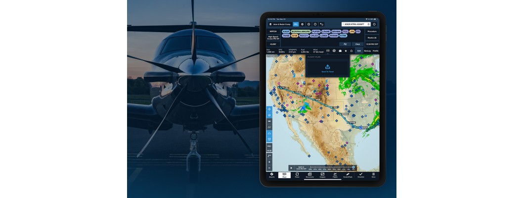 Какой вариант подписки на ForeFlight брать пилоту