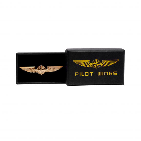 Значок авіаційний PILOT WINGS gold 5cm