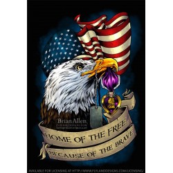Знак металлический Purple Heart Eagle & Flag Знак металлический Purple Heart Eagle & Flag