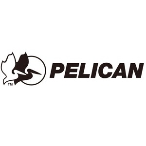 Pelican Pelican