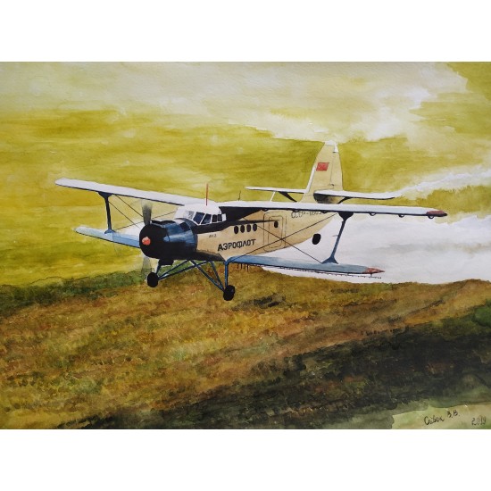Картина авиационная Ан-2