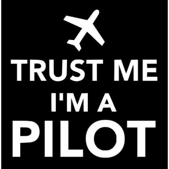 Наклейка на автомобиль авиационная Trust Me, I Am A Pilot
