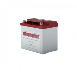Авиационный аккумулятор Concorde RG-25 (12Volt) Авиационный аккумулятор Concorde RG-25 (12Volt)