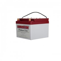 Авиационный аккумулятор Concorde RG24-15 TSO (24 Volt) Авиационный аккумулятор Concorde RG24-15 TSO (24 Volt)
