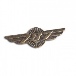 Значок авиационный Boeing 787  Значок авиационный Boeing 787