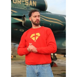 Реглан (Худі) AEROSPACE Super Plane