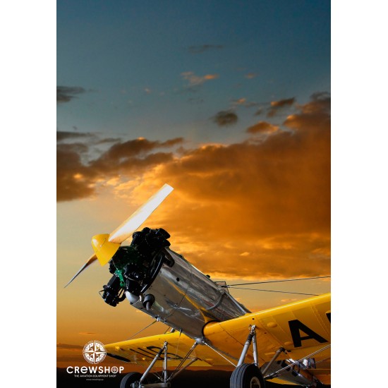 Постер Винтажный самолет А1 вертикальный