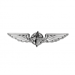 Значок авиационный PILOT WINGS silver 5cm  Значок авиационный PILOT WINGS silver 5cm
