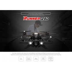Гоночный квадрокоптер Walkera Runner 250 Basic 3 Гоночный квадрокоптер Walkera Runner 250 Basic 3