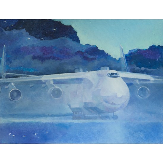 Картина авиационная "Мрія"