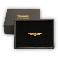 Значок авиационный PILOT WINGS SMALL  Значок авиационный PILOT WINGS SMALL