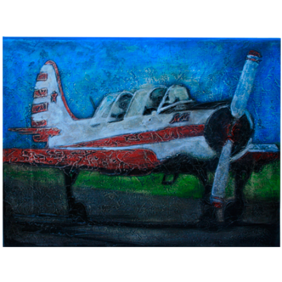 Картина авиационная "Як-52"