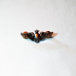 Значок - ЧСК1 Значок - ЧСК1