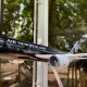 Boeing 787 Air New Zealand aircraft model (1:130) with sound LED lighting