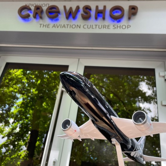 Boeing 787 Air New Zealand aircraft model (1:130) with sound LED lighting